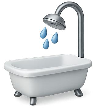 Bathtub to Shower Conversion